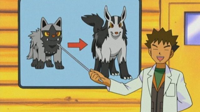 Pokémon S06E11