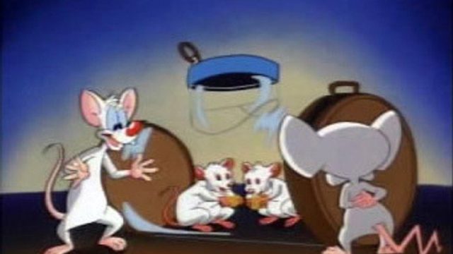 Pinky y Cerebro S01E19