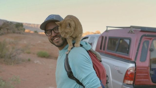 The Secret Life of Our Pets S01E04