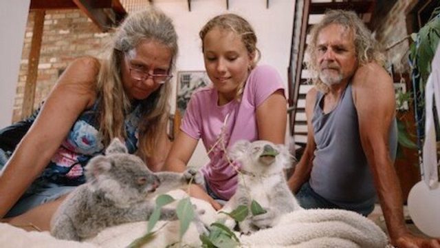 Izzy y los koalas S01E06