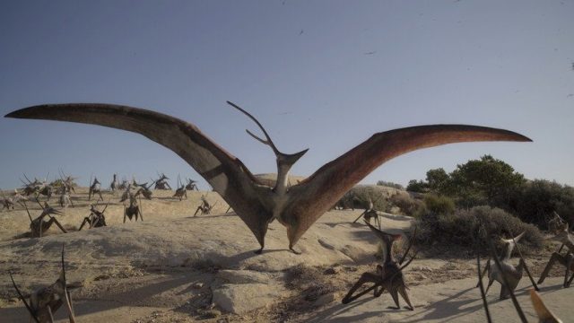 Planeta prehistórico S00E02