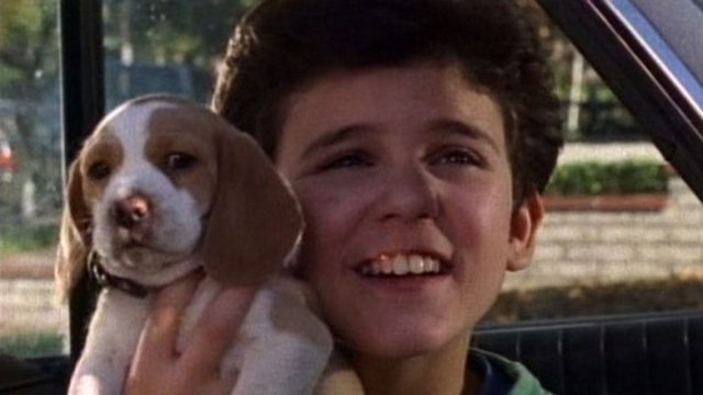 Los años maravillosos S03E12