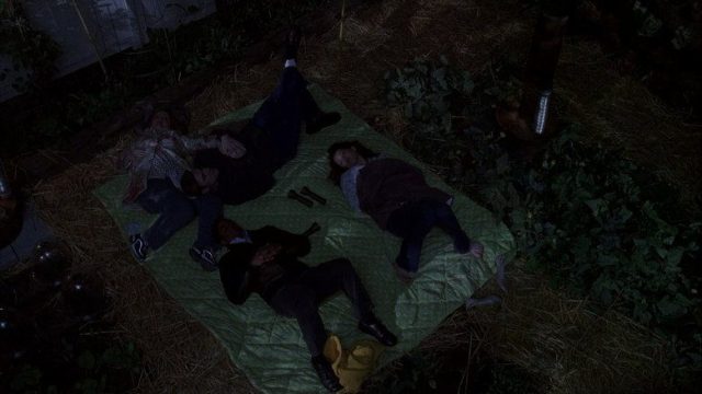 Las Chicas Gilmore S04E20