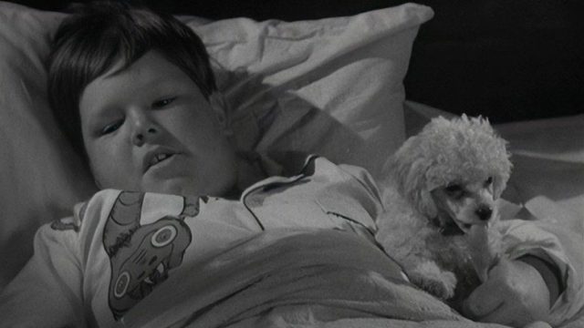 Los locos Addams S01E02
