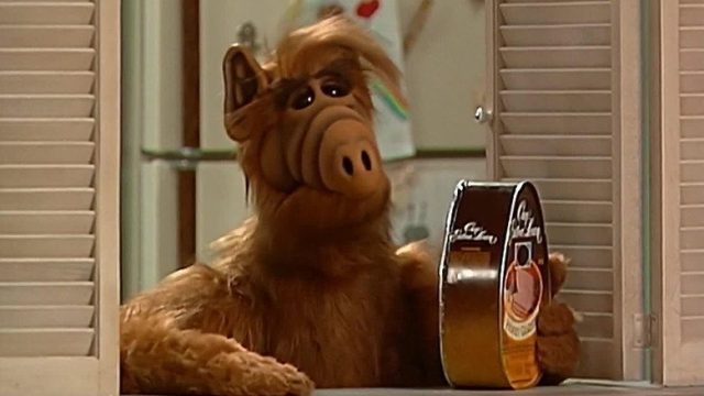 ALF S01E15