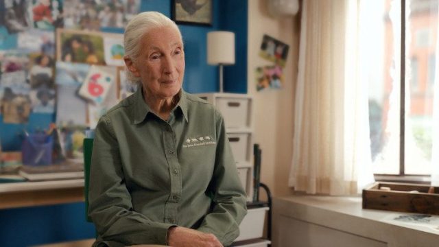 Jane S03E05