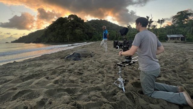 A Year on Planet Earth S01E06