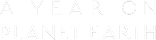 A Year on Planet Earth