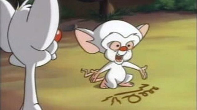 Pinky y Cerebro S02E07
