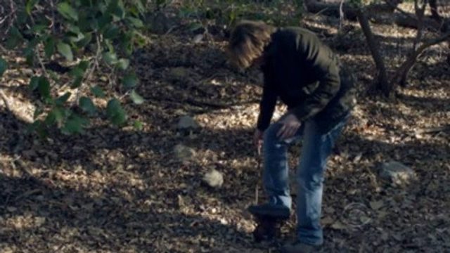 NCIS: Los Ángeles S04E15