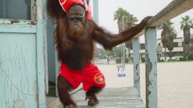 Baywatch: Guardianes de la Bahía S09E10