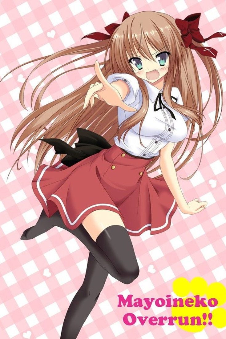 迷い猫オーバーラン! Temporada 1